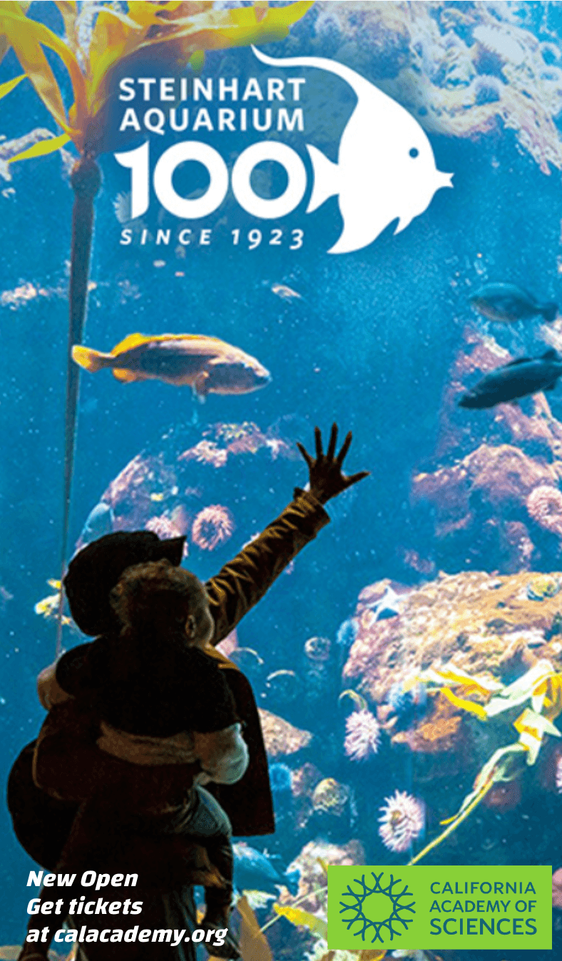 California Academy of Sciences sidebar July 2025